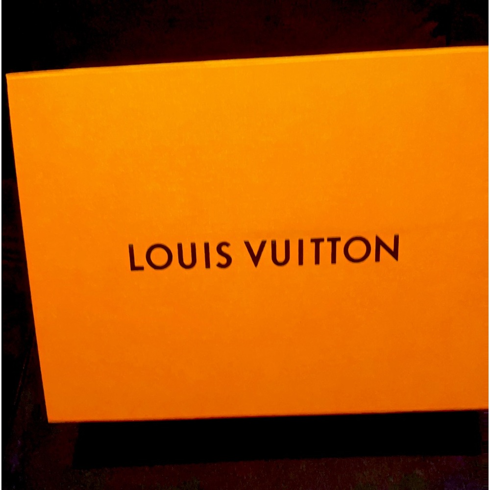 COPY - Brand New Loui Vuitton Twist Mini CH. Epi Noir